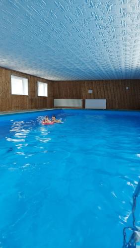 a person swimming in a large swimming pool at Ferienwohnung am Waldsee mit Schwimmbad in Gernsbach