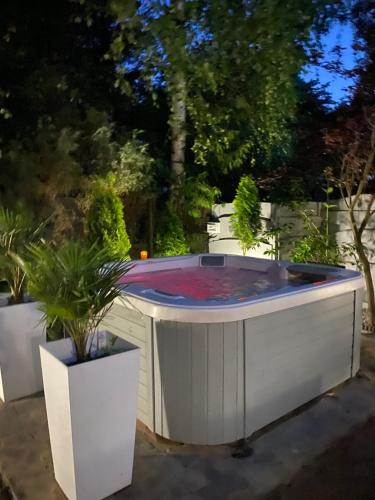 a hot tub in a garden with two potted plants at Domek w Sosenkach in Osłonin