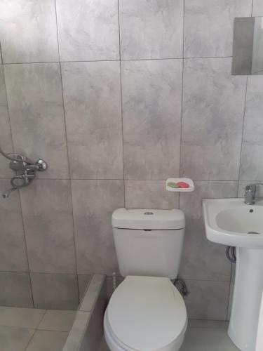 Gallery image of Emma's Guesthouse in Borjomi in Borjomi