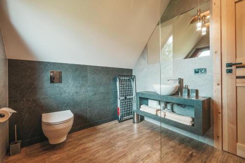 a bathroom with a toilet and a sink at Toporowe Izby in Groń