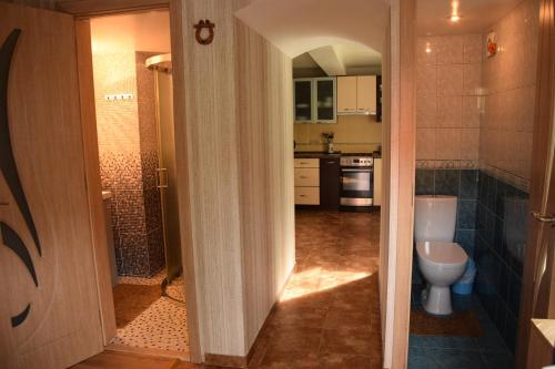 a bathroom with a toilet and a shower in it at Fisherman´s House in Nida
