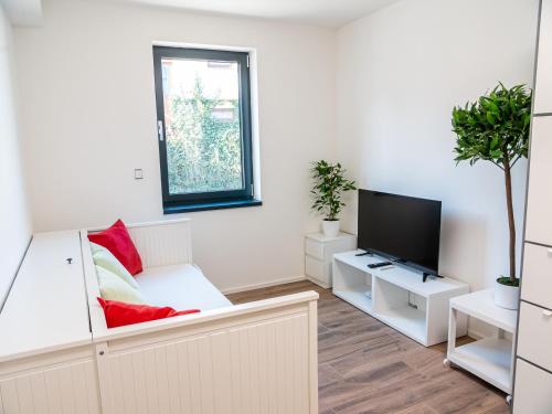 TV a/nebo společenská místnost v ubytování Apartmány Gemini