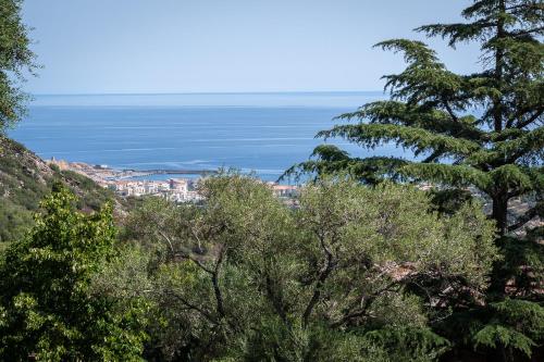 a view of the ocean from a hill with trees at Résidence U Manellu in Santa-Reparata-di-Balagna