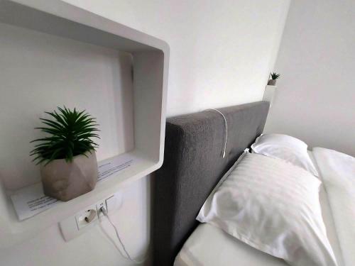 a plant sitting on top of a bed in a room at Gajeva Rooms SELF CHECK-IN in Virovitica