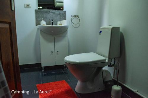 A bathroom at "La Aurel" Mahmudia