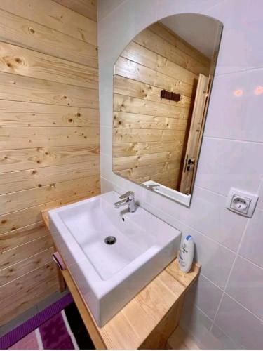 łazienka z białą umywalką i lustrem w obiekcie Tiny house Casa Axa w mieście Pîrîu Cîrjei