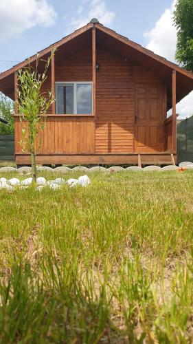 a log cabin with a grass field in front of it at "La Aurel" Mahmudia in Mahmudia