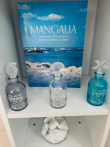 three glass bottles on a shelf with a poster at Vila Ardealul in Mangalia