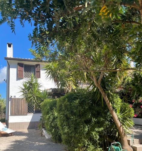 Al Mare Home – Photos 2