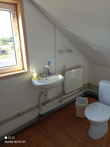 ein Bad mit einem Waschbecken und einem WC in der Unterkunft Lapegles 2 in Ludza