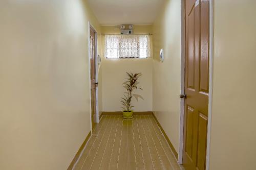 a hallway with a potted plant and a window at RedDoorz at La Briana Guest House Santa Fe, Bantayan Cebu in Bantayan Island