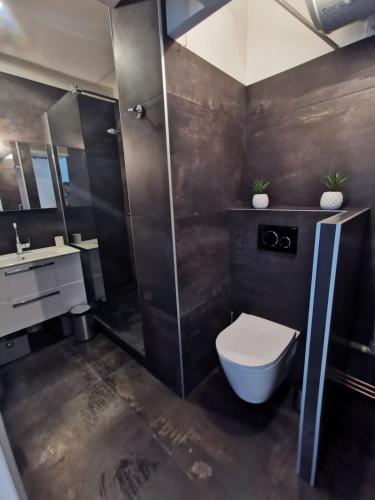 une salle de bain avec toilettes, douche et lavabo dans l'établissement Le Panima, à Palavas-les-Flots