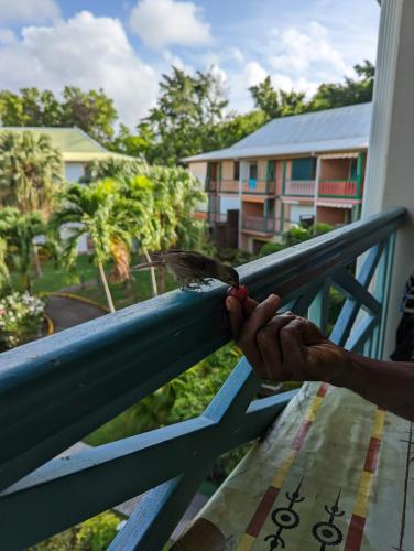a person holding onto a railing with a bird on it at Ti Studio Creole Mahogany in Sainte-Anne