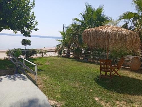 a lawn with a chair and a straw umbrella at Evoikos beach & resort in Livanates