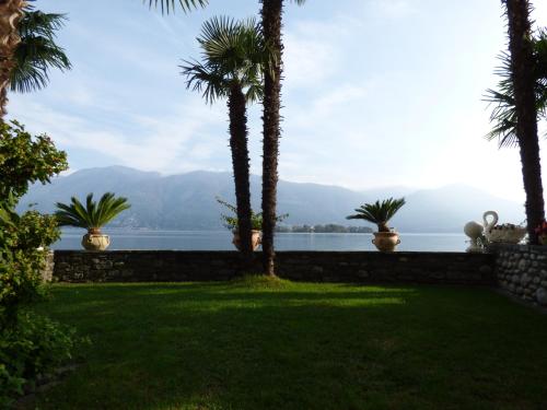 a yard with palm trees and a view of the water at Casa Conti al Lago in Ronco s/Ascona - Porto Ronco
