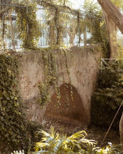 a stone wall with ivy growing on it at Puente Romano Marbella in Marbella