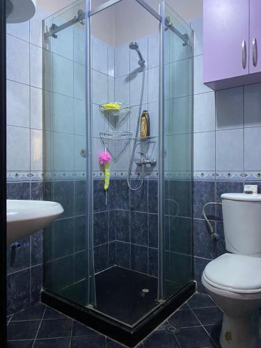 une salle de bain avec une douche avec des toilettes et un lavabo dans l'établissement Dan's place, à Orikum