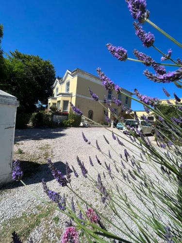 a house with purple flowers in front of it at Large Three bed Two bathroom flat in Central Torquay in Torquay