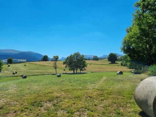 a field of hay with trees and mountains in the background at Au coeur du Volcantal in Laveissière