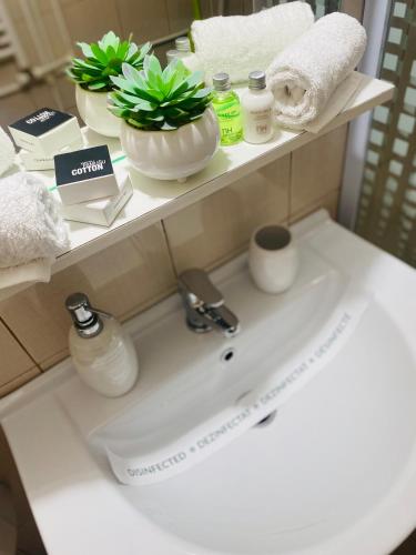 a bathroom sink with a plant on a shelf above it at Mara apartment in Băile Herculane