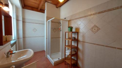 uma casa de banho com um lavatório e um chuveiro em Agriturismo Villa Caffarelli em Monastero Bormida