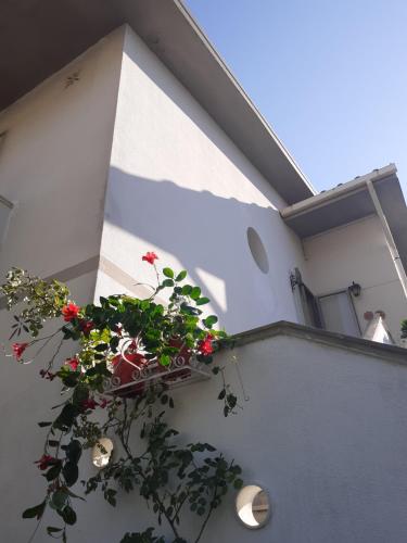 a balcony with a potted plant on the side of a building at Grande Appartamento in Villa con 2 camere, terrazze, giardino, barbecue e posto auto privato Tutti spazi uso esclusivo in Cecina