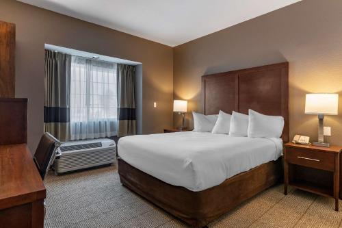 een hotelkamer met een groot bed en een raam bij Comfort Inn & Suites in Aztec