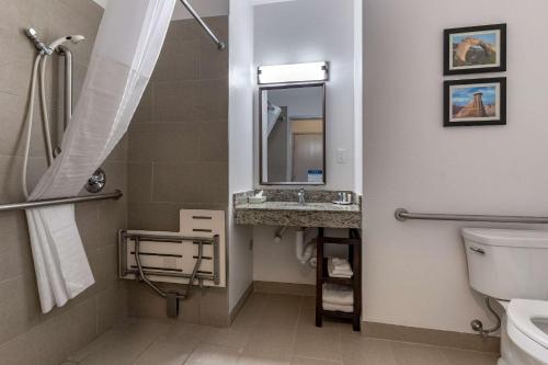 y baño con lavabo, aseo y espejo. en Comfort Inn & Suites, en Aztec