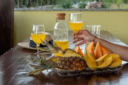 a person holding two glasses of orange juice and a plate of fruit at Holiday Home Tos in Risika