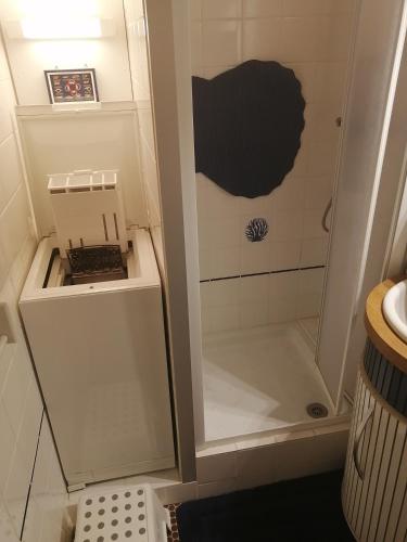 La petite salle de bains est pourvue d'une douche et d'un lavabo. dans l'établissement Appartement 2 pièces entièrement rénové, à Villers-sur-Mer