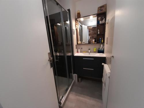 une salle de bain avec une douche avec un lavabo et un miroir dans l'établissement Arcachon - T3 près du centre, plage et Parc Mauresque, balcon et équipements complets - FR-1-319-458, à Arcachon