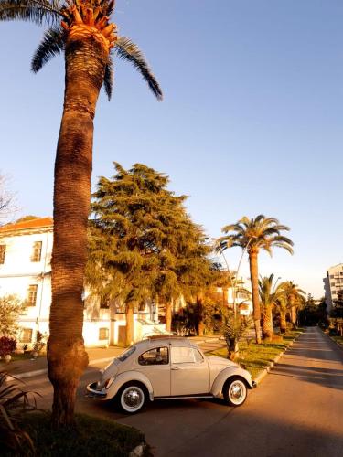 a white car parked next to a palm tree at Flora Apartment - near the sea in Bar, Susanj