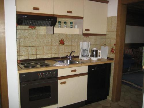 een keuken met een fornuis en een spoelbak bij Apartment Hölzlbauer in Krimml