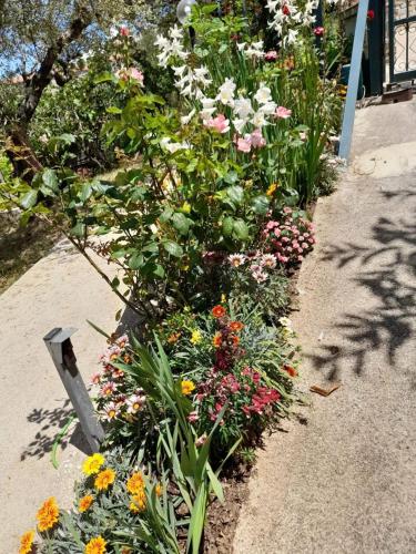 a garden filled with flowers on a sidewalk at Cuore Verde del Cilento in Laureana Cilento
