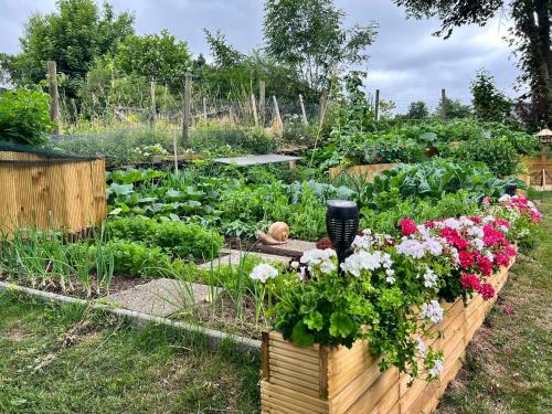 a garden with many different types of flowers and vegetables at Le Clos fleuri in Fauvillers