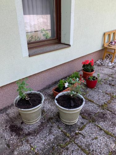 Giardino di The 1882 Old House Vodnikova