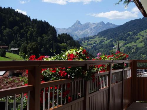 a view from the balcony of a house with flowers at Gästehaus Fitsch - Ferienwohnung in Silbertal in Silbertal