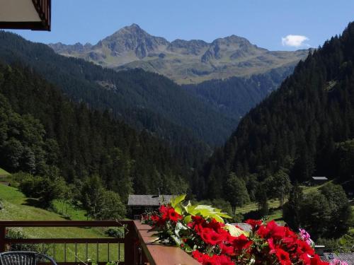 a balcony with red flowers and a view of mountains at Gästehaus Fitsch - Ferienwohnung in Silbertal in Silbertal