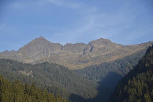 a view of a mountain range with trees at Gästehaus Fitsch - Ferienwohnung in Silbertal in Silbertal