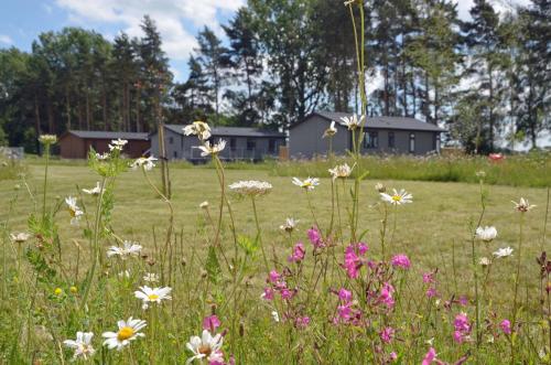 a field of flowers with a house in the background at Hollicarrs Holiday Park - Hares Leap in Riccall