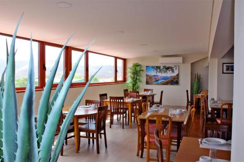 a restaurant with tables and chairs and a plant at Hotel Vale Do Côa in Vila Nova de Foz Coa