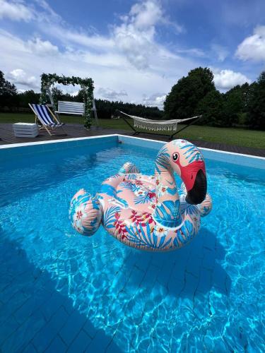 a pool float in the middle of a swimming pool at FARIE in Faryny