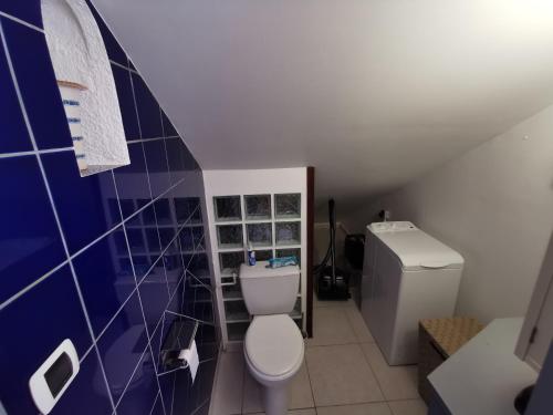 a bathroom with a toilet and a blue wall at Le coteau fleuri in Carnoux