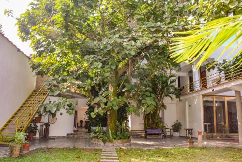 Gallery image of Green House Tarapoto in Tarapoto