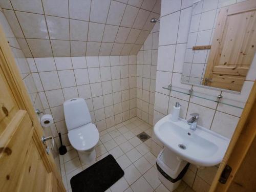 a small bathroom with a sink and a toilet at Reiu Holiday Centre in Paikuse