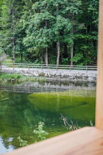 a view of a pond with trees and a fence at Forsthaus Toplitzsee in Gössl