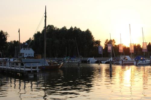 a group of boats are docked in a harbor at Pension Amo Marem in Dierhagen