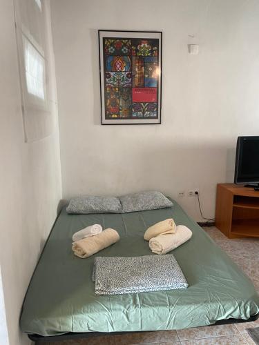 レウスにあるReus Apartmentsのベッドルーム1室(緑色のベッド1台、枕2つ付)