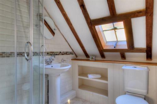 a bathroom with a toilet and a shower and a sink at The Forge in Rousdon