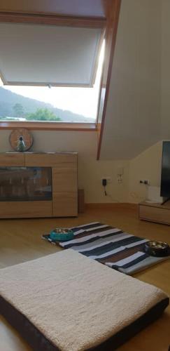 a room with a skylight and a rug on the floor at PIEDAD FERNANDEZ FERNANDEZ GESTION DE INMUEBLES SL. in Burela de Cabo